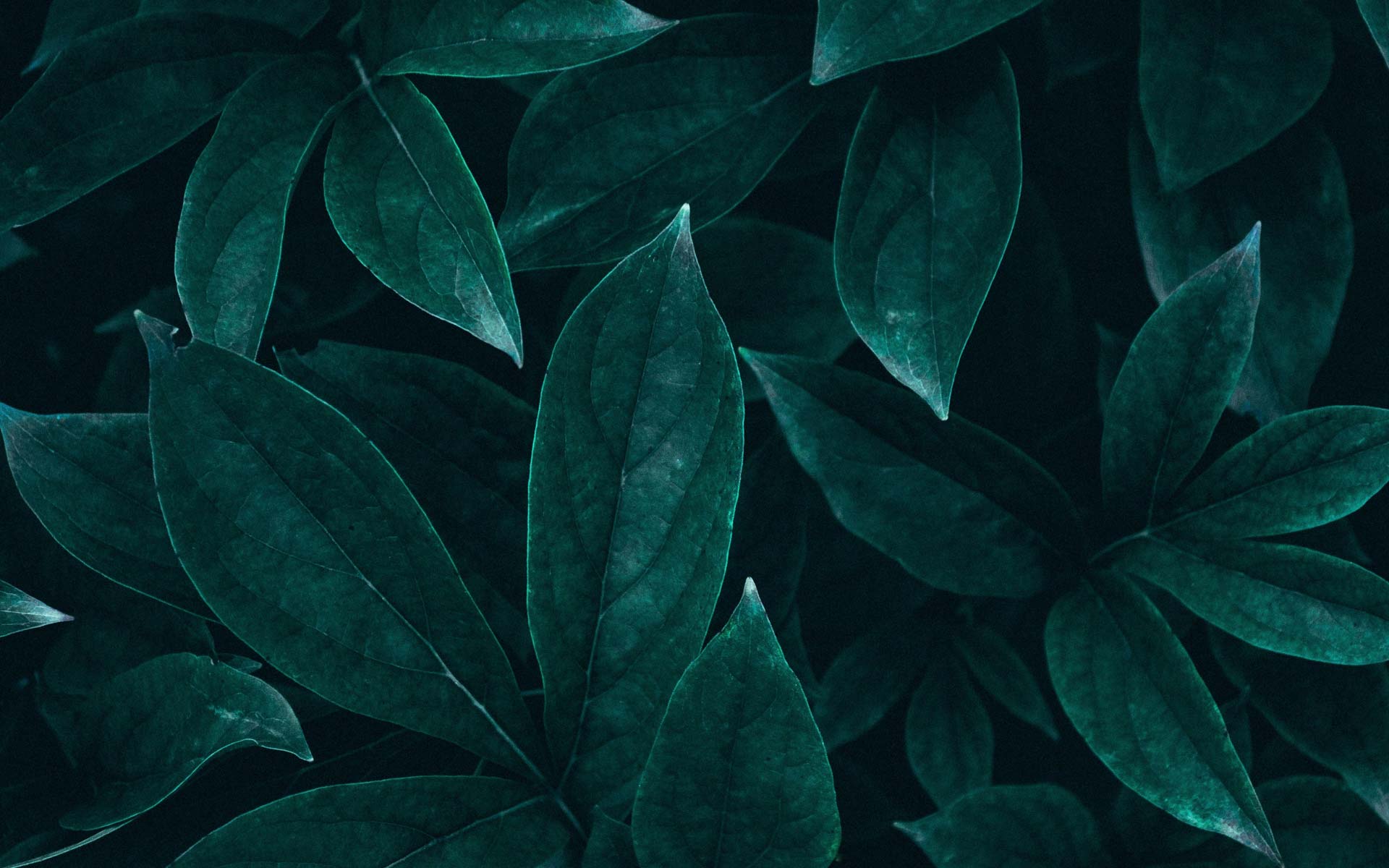 Maretto Marflex | Materiali naturali